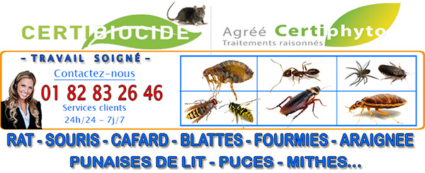 Traitement Punaise de lit Verderel lès Sauqueuse 60112